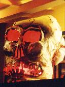 Link to pdxskull.htm