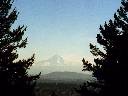 Link to pdxtabmh.htm
